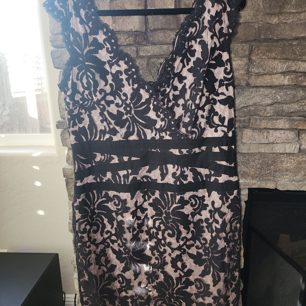 Tadashi Shoji Black and Cream Lace Mini Dress